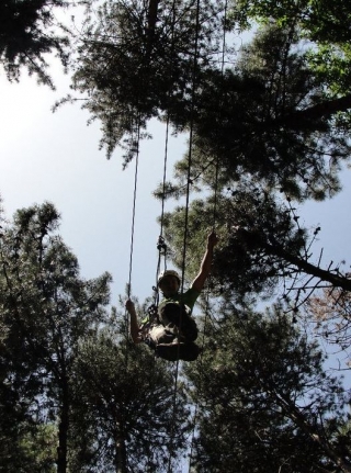 Sospeso tra gli alberi